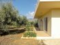 Various other angles of property....the olive grove reaches right to the property