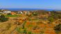 Sea views 