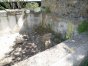 Renovated wine press