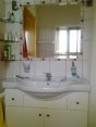 Bath with shower, handwash basin and wc, it also houses the washing machine
