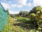 The extensive plot offers enough space for a large vegetable garden...